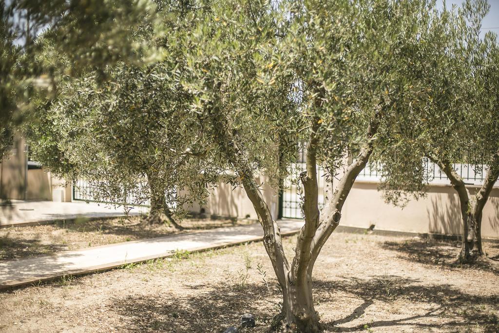 Olive Tree Apartments Fourka Exterior foto