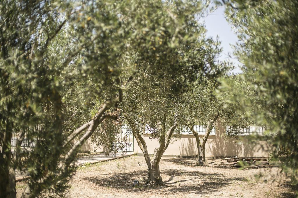 Olive Tree Apartments Fourka Exterior foto