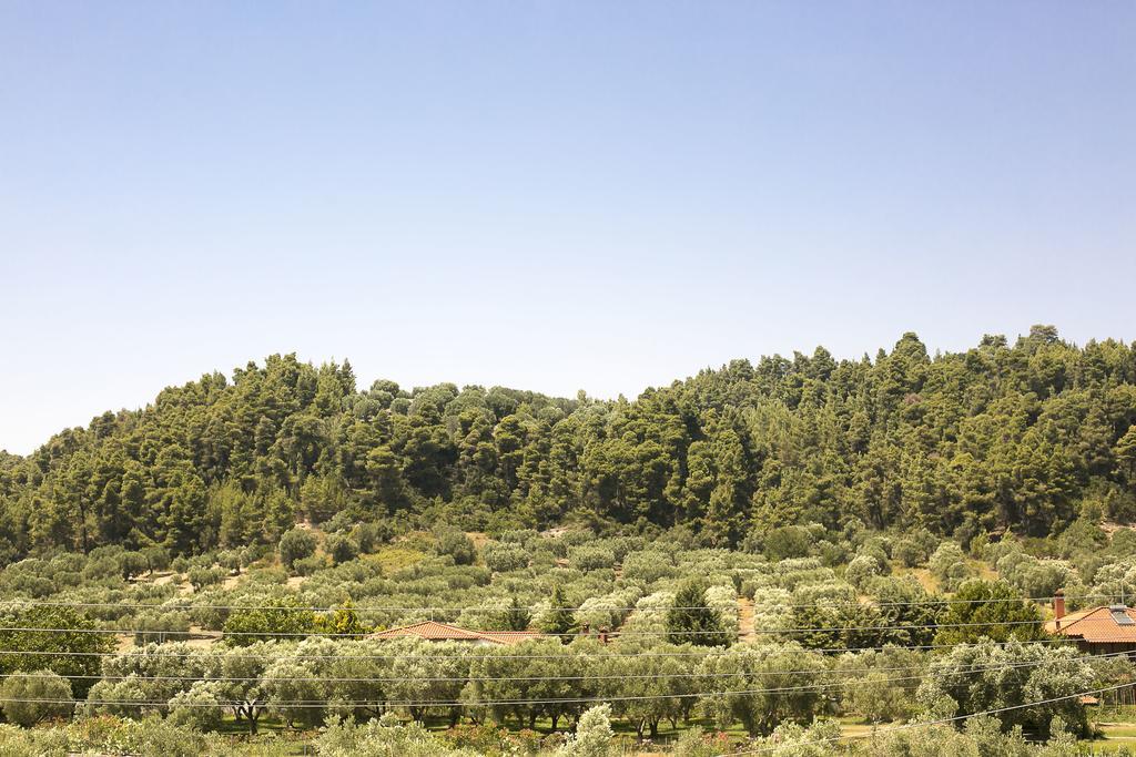 Olive Tree Apartments Fourka Exterior foto
